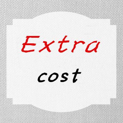 Extra Cost/dress Changes/rush Order