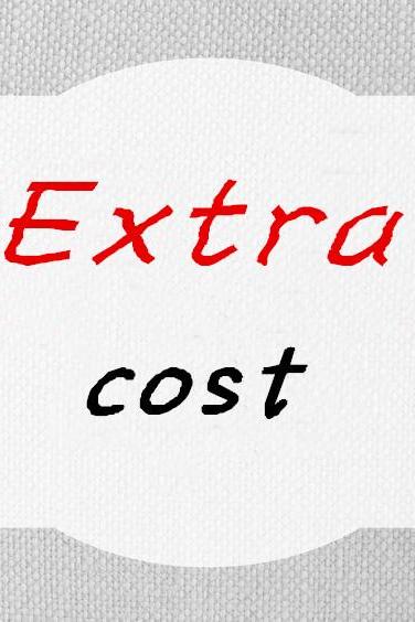 Extra Cost/Dress Changes/Rush Order